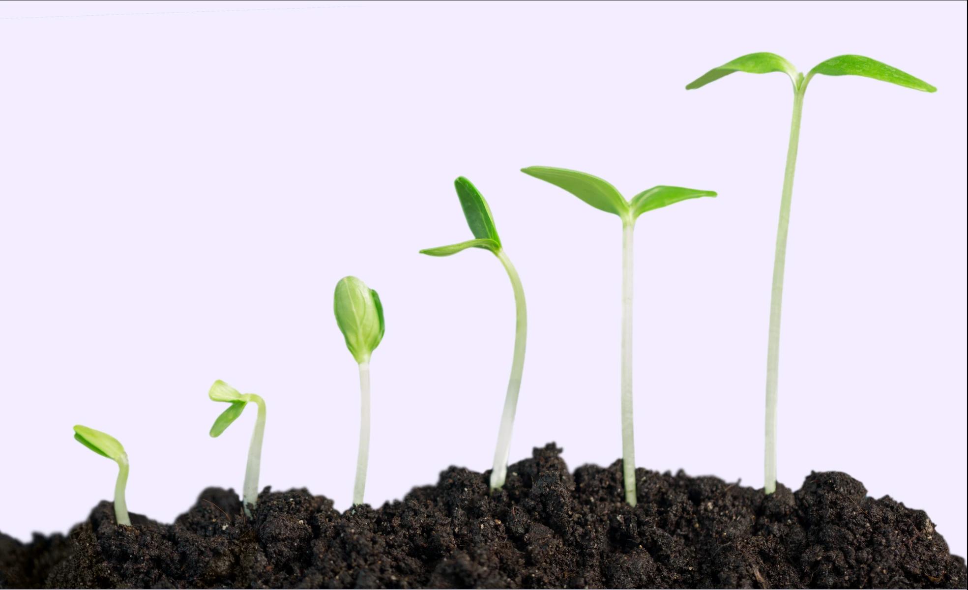 Help your clients scale their business with confidence